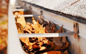 Bryn Dulas gutter cleaning companies