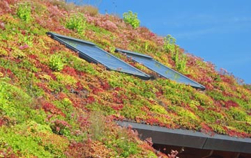 Bryn Dulas living roof systems