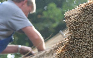 professional Bryn Dulas thatchers