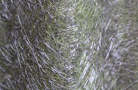 Bryn Dulas fibreglass roof work